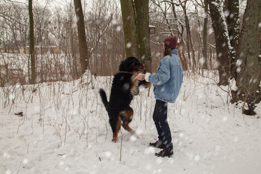 Similar image 21184376