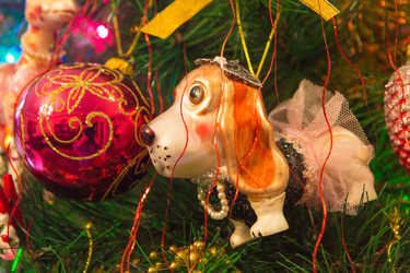 Similar image 21167464