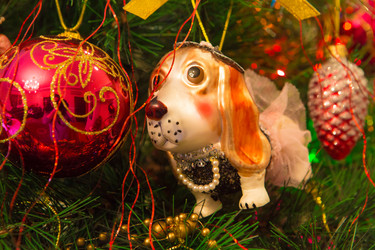 Similar image 21167468