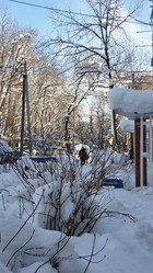 Similar image 21167526