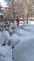 Similar image 21167527