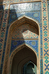 Similar image 21163967