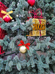 Similar image 21168452