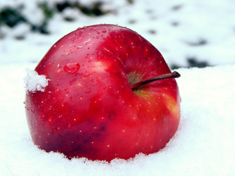 Similar image 21167297