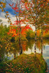 Similar image 21176977