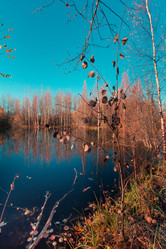 Similar image 21176978