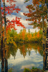 Similar image 21176979