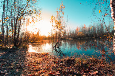 Similar image 21176980