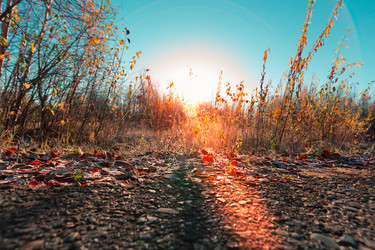 Similar image 21176982