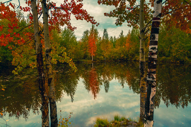 Similar image 21176983