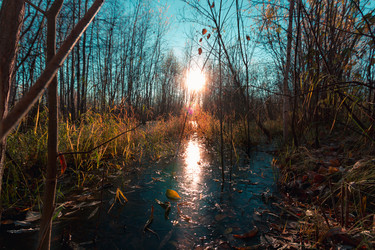 Similar image 21176984