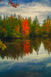 Similar image 21176985