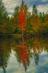 Similar image 21176987