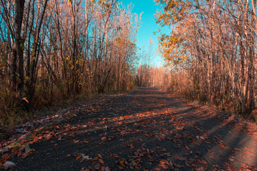 Similar image 21176988