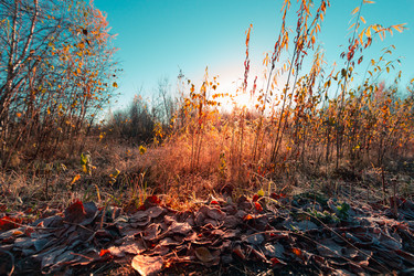 Similar image 21176990