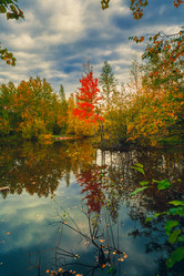 Similar image 21176991