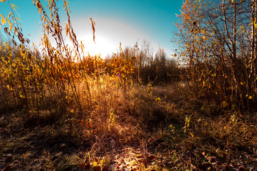 Similar image 21176992