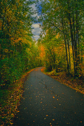 Similar image 21176993