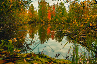 Similar image 21176995