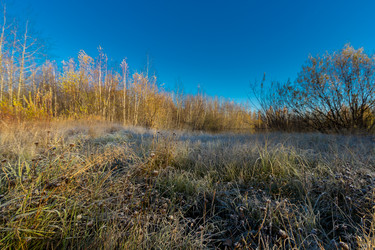 Similar image 21176996