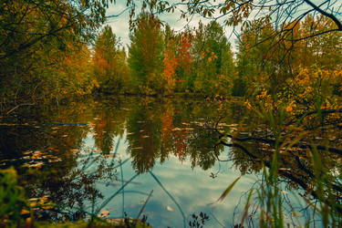 Similar image 21176997