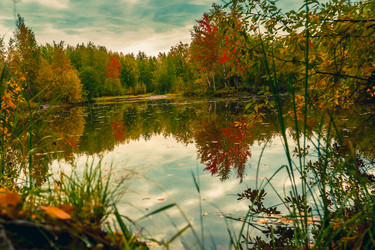 Similar image 21176998