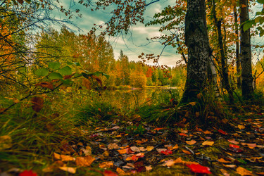 Similar image 21176999