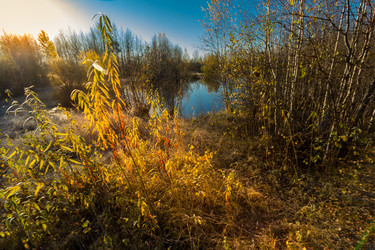 Similar image 21177000