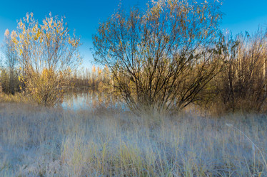 Similar image 21177002