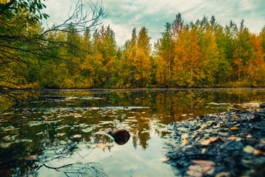 Similar image 21177005