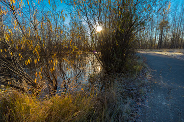 Similar image 21177006