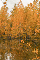 Similar image 21177007