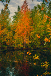 Similar image 21177009