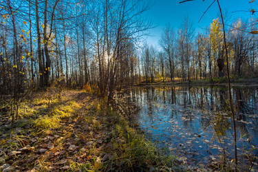 Similar image 21177010