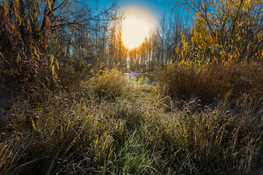 Similar image 21177013