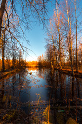 Similar image 21177015