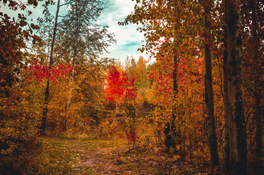 Similar image 21177016