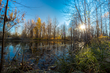 Similar image 21177018