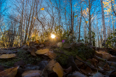 Similar image 21177019