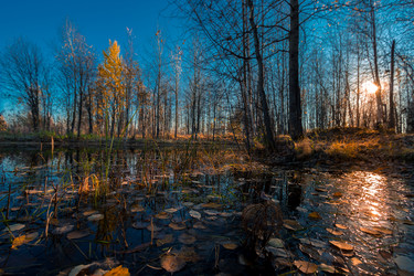 Similar image 21177020