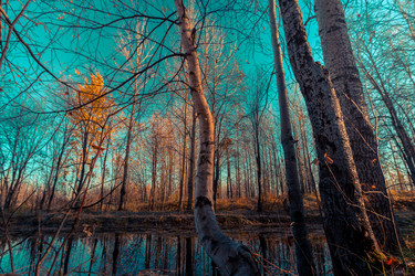 Similar image 21177021