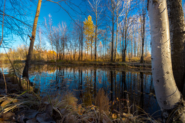 Similar image 21177022