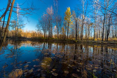 Similar image 21177023