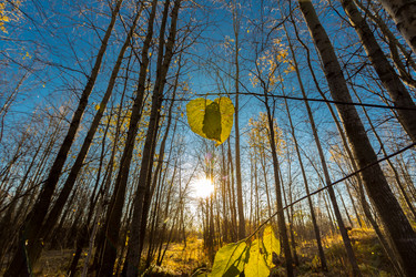 Similar image 21177025