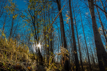 Similar image 21177026