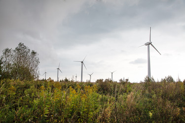 Similar image 21176544