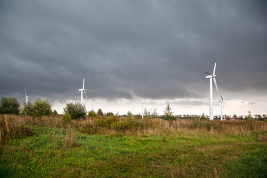 Similar image 21176545