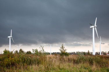 Similar image 21176546