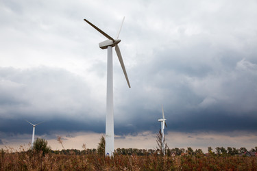 Similar image 21176548