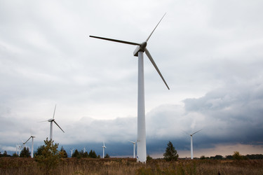 Similar image 21176550